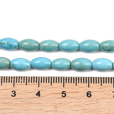 Natural Magnesite Beads Strands G-Z143-B01-01-1