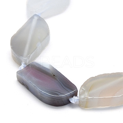 Natural Botswana Agate Beads Strands G-G106-F02-01-1