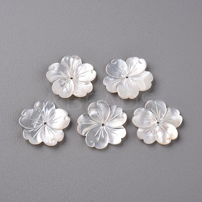 Natural White Shell Mother of Pearl Shell Beads SSHEL-R144-10-1