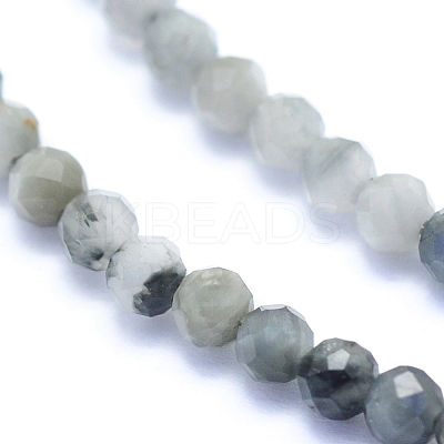Natural Hawk's Eye Beads Strands G-I279-E14-02-1