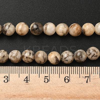 Natural Feldspar Beads Strands X-G-S259-26-6mm-1