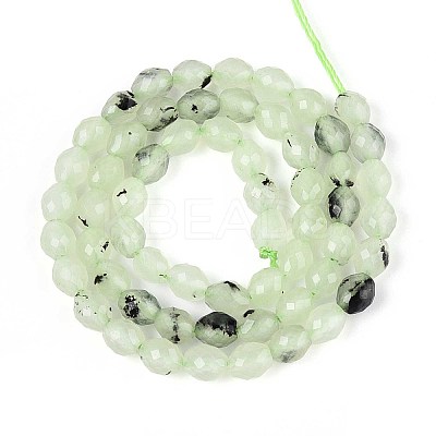 Natural Prehnite Beads Strands G-T142-82-1