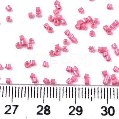 FGB 11/0 Grade A Baking Paint Glass Seed Beads X-SEED-S030-1034-1