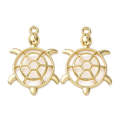 Alloy Big Pendants FIND-Z095-03G-1