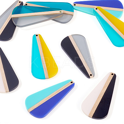 10Pcs 5 Colors Transparent & Opaque Resin & Wood Pendants RESI-TA0004-66-1