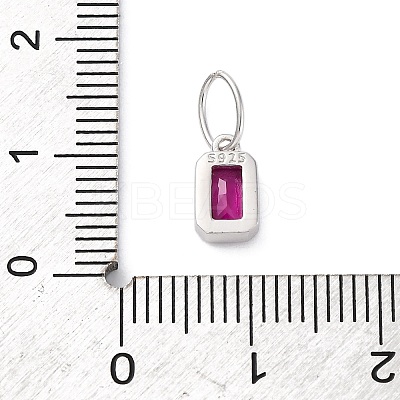925 Sterling Silver Cubic Zirconia Charms STER-NH0014-01P-07-1