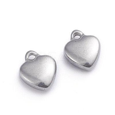 Non-Tarnish 304 Stainless Steel Charms STAS-G236-01P-B-1