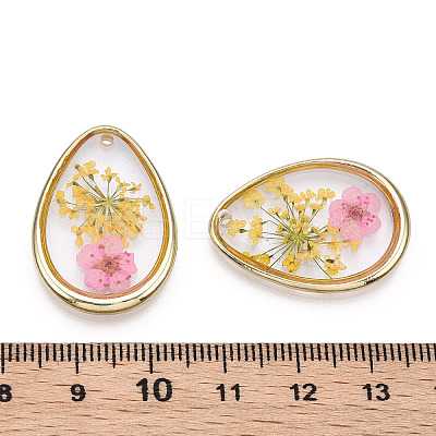 Alloy Epoxy Resin Pendants PALLOY-TAC0044-79-1