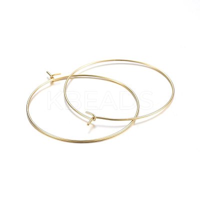 316 Surgical Stainless Steel Hoop Earrings LS-X-STAS-P210-26G-01-1