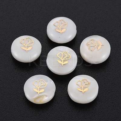 Natural Freshwater Shell Beads SHEL-S278-055-1