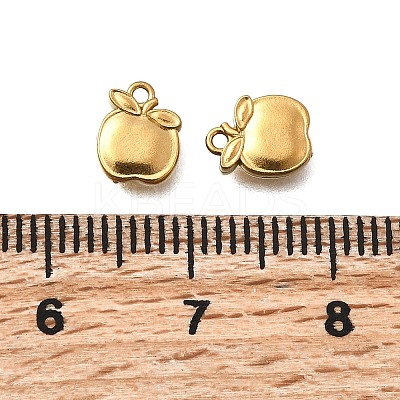 304 Stainless Steel Charms STAS-Z160-11G-01-1