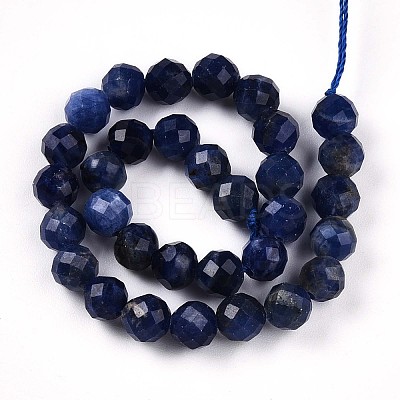 Natural Sodalite Beads Strands G-S345-6mm-26-1