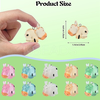 30Pcs 5 Colors Luminous Resin Pendants RESI-SZ0003-24-1