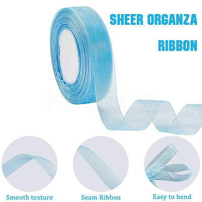 1 Rolls Sheer Organza Ribbon SRIB-CY0001-22A-04-1