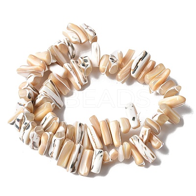 Dyed Natural Trochus Shell Beads Strands X-SSHEL-C013-09K-1