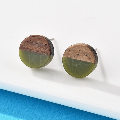 Opaque Resin & Walnut Wood Stud Earrings X-EJEW-N017-008-B08-1