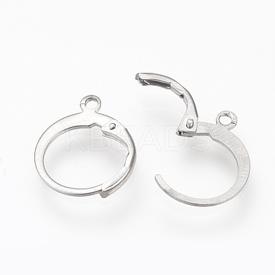 Tarnish Resistant 304 Stainless Steel Leverback Earring Findings STAS-S073-01-1