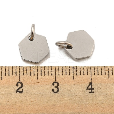 Non-Tarnish 304 Stainless Steel Charms STAS-P356-01P-1