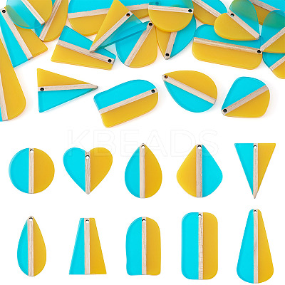 20Pcs 10 Styles Transparent Resin & Natural Wood Pendants RESI-TA0004-47-1