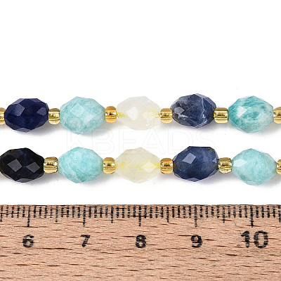 Natural Sodalite & Flower Amazonite & Lemon Quartz Beads Strands G-N358-04A-07-1
