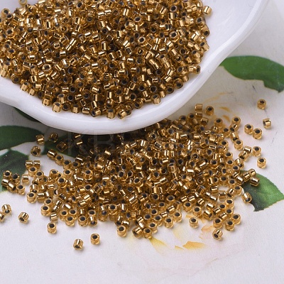 MIYUKI Delica Beads X-SEED-J020-DB0181-1