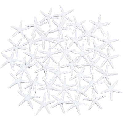 Resin Cabochons RESI-PH0001-34-1