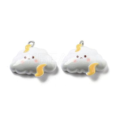 Weather Theme Opaque Resin Pendants LS-RESI-R444-01B-1
