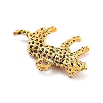 Tibetan Style Alloy Charms LS-FIND-G077-02AG-1