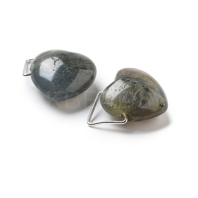 Natural Labradorite Pendants G-K371-02P-03-1