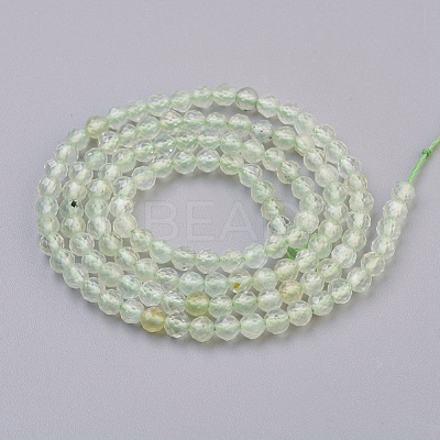 Natural Prehnite Beads Strands G-F568-121-3mm-1