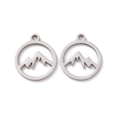 Non-Tarnish 201 Stainless Steel Charms LS-STAS-G281-01P-02-1