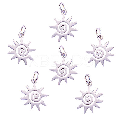 201 Stainless Steel Charms STAS-CJC0007-01-1