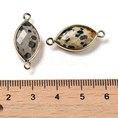 Natural Dalmatian Jasper Faceted Connector Charms G-K347-03G-12-1