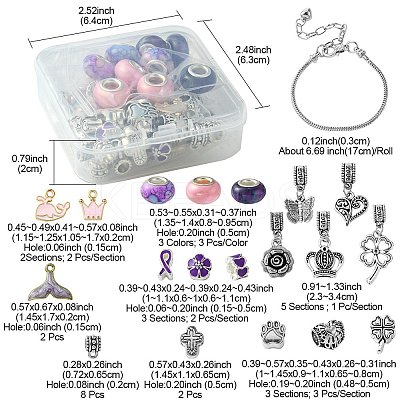 DIY European Charm Bracelets Jewelry Kit DIY-FS0005-64-1