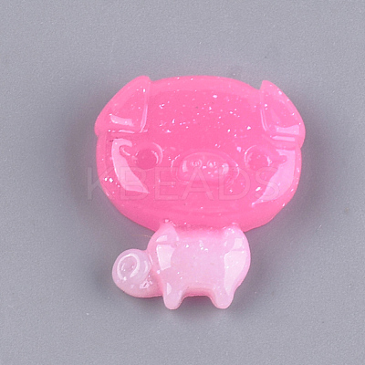 Resin Cabochons X-CRES-T010-46-1