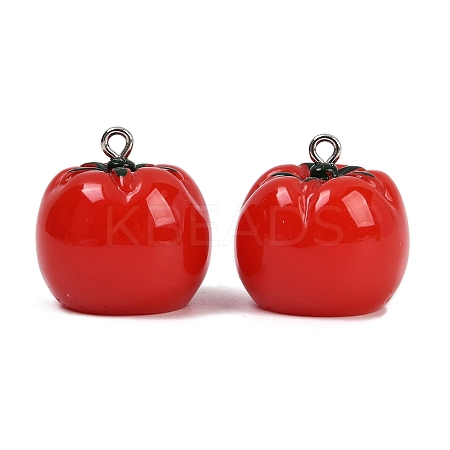 Oapaque Resin Pendants RESI-S025-01P-01-1