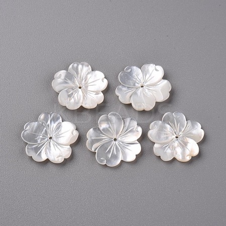 Natural White Shell Mother of Pearl Shell Beads SSHEL-R144-10-1