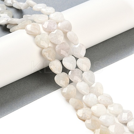 Natural Rainbow Moonstone Beads Strands G-G118-A01-01-1
