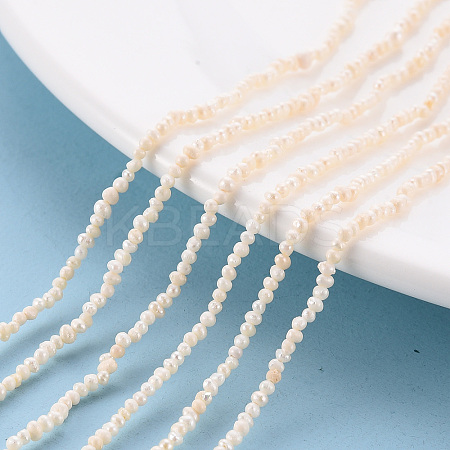 Natural Cultured Freshwater Pearl Beads Strands PEAR-S016-001-1