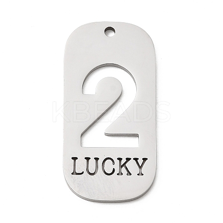 304 Stainless Steel Pendants STAS-D200-02C-P-1