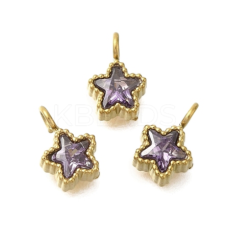 304 Stainless Steel Micro Pave Cubic Zirconia Charms STAS-U027-02G-03-1