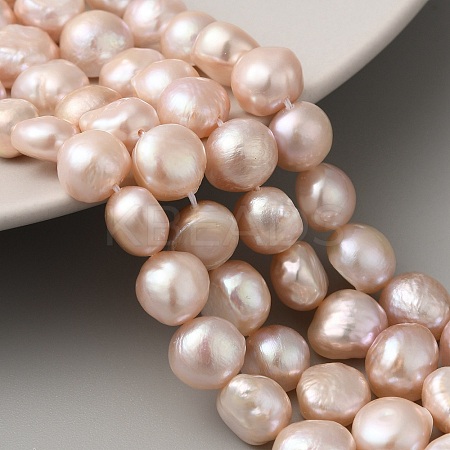 Natural Cultured Freshwater Pearl Beads Strands PEAR-A006-10F-1