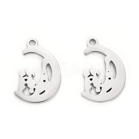 Non-Tarnish Valentine's Day 304 Stainless Steel Charms LS-STAS-I151-33P-1