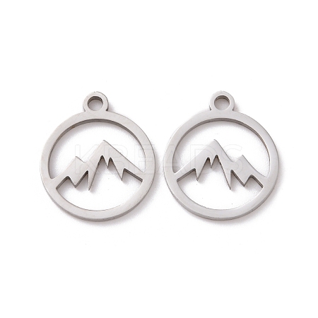 Non-Tarnish 201 Stainless Steel Charms LS-STAS-G281-01P-02-1