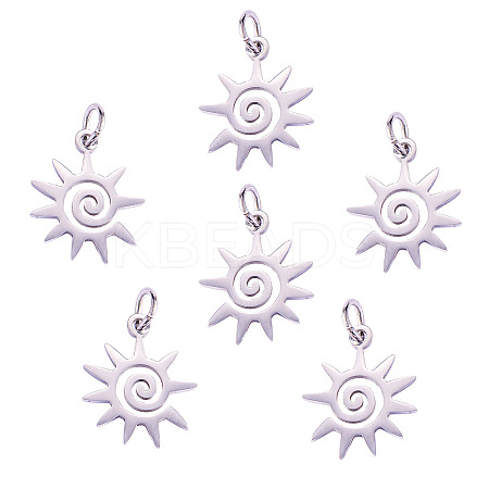 201 Stainless Steel Charms STAS-CJC0007-01-1