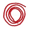 Transparent Glass Beads Strands X-GLAA-C019-01A-16-2