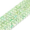 Natural Prehnite Beads Strands G-D0003-A99-1