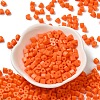 Baking Paint Glass Bead SEED-H002-K-D306-2