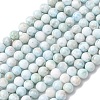 Natural Larimar Beads Strands G-B156-A01-6mm-01-2