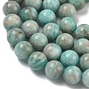 Natural Amazonite Beads Strands G-K068-03-10mm-01-5